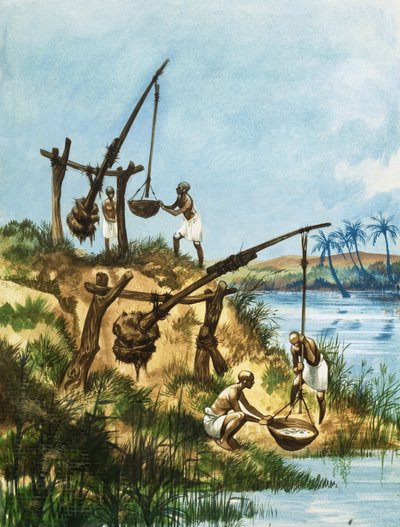 早期的埃及人使用称为shadoofs的重量和杆系统来从尼罗河取水 作者 彼得·杰克逊