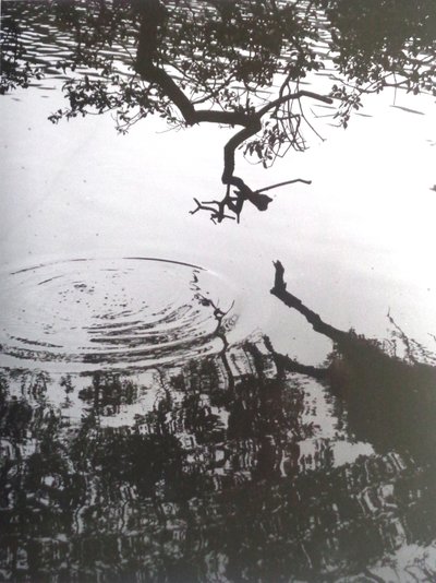复古B＆W照片No.5,1986，（摄影） 作者 彼得麦克卢尔