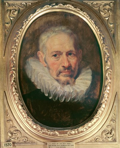 一位老人的头（油上的油） 作者 Peter Paul Rubens