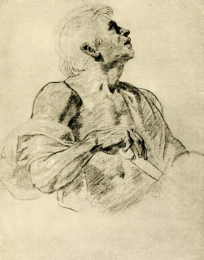 研究一个战士 作者 Peter Paul Rubens