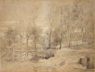 林地景象，17世纪初 作者 彼得·保罗·鲁本斯