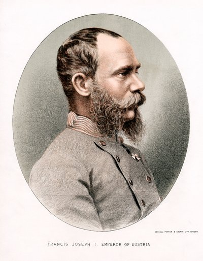 奥地利皇帝弗朗兹·约瑟夫（Franz Joseph），约1880年 作者 皮特和加尔平·卡塞尔