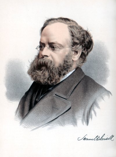 塞缪尔·普利姆索尔（Samuel Plimsoll），英国政治家和社会改革家，建于1890年。 作者 皮特和加尔平·卡塞尔