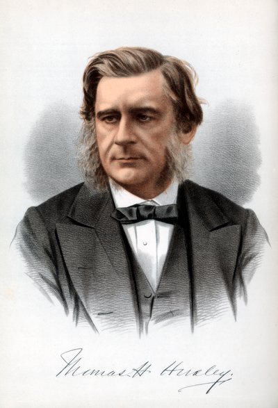 托马斯·亨利·赫x黎（Thomas Henry Huxley），英国生物学家，约1890年。 作者 皮特和加尔平·卡塞尔