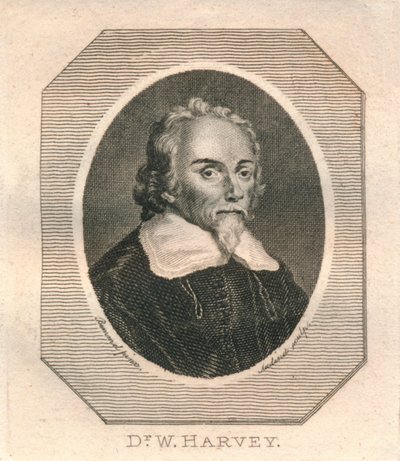 W. Harvey博士"，约1800年。 作者 菲利普·奥迪内