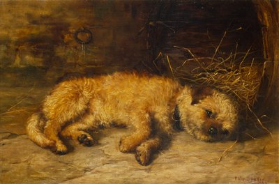 一只边境梗的幼犬 作者 菲利普·尤斯塔斯·斯特雷顿