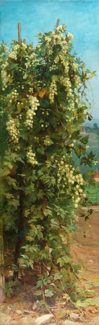 啤酒花，1882年 作者 菲利普·赫莫金斯·卡尔德隆