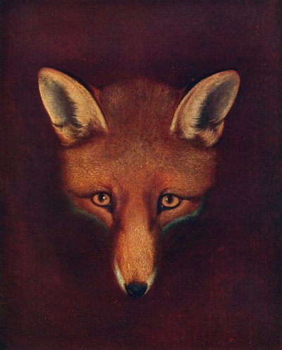 雷纳德·福克斯（Renard the Fox），c1800年，1922年 作者 菲利普·雷纳格