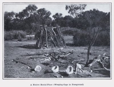 A Native Burial-Place, Weeping-Caps in Foreground (b/w photo) 作者 澳大利亚摄影师