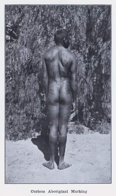 Curious Aboriginal Marking (b/w photo) 作者 澳大利亚摄影师