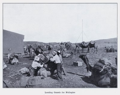 Loading Camels for Nullagine (b/w photo) 作者 澳大利亚摄影师