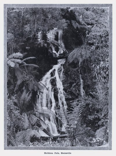 Mathinna Falls, Healesville (b/w photo) 作者 澳大利亚摄影师