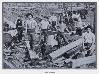 Timber Workers (b/w photo) 作者 澳大利亚摄影师