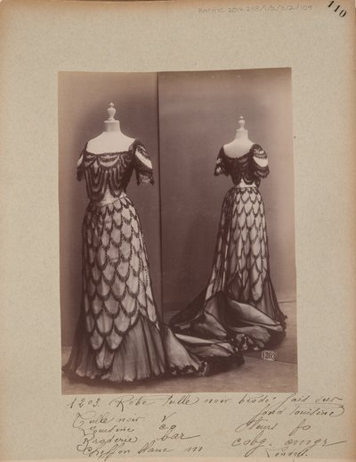 Album Page: House of Worth, Ball Gown 作者 法国摄影师