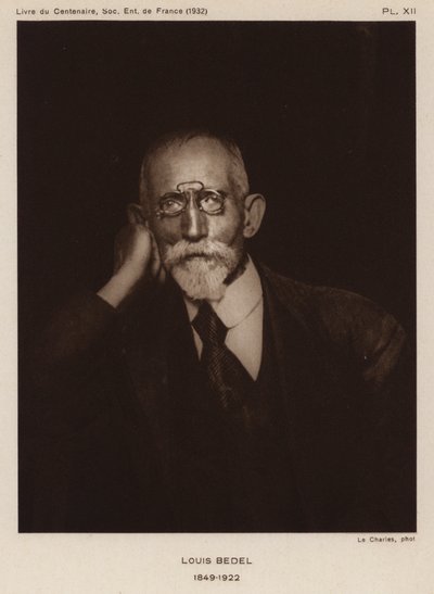 法国昆虫学家Ernest Marie Louis Bedel（黑白照片）。 作者 法国摄影师
