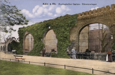 Cologne Zoo, Bears (photo) 作者 德国摄影师