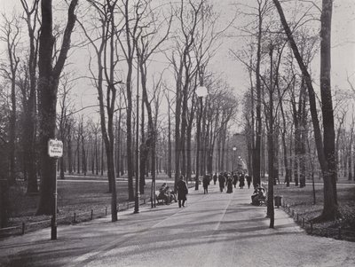 Im Tiergarten, Ahornsteig (b/w photo) 作者 德国摄影师