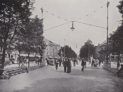 Unter Den Linden、Mittelallee 和腓特烈大帝纪念碑的景色（黑白照片） 作者 德国摄影师