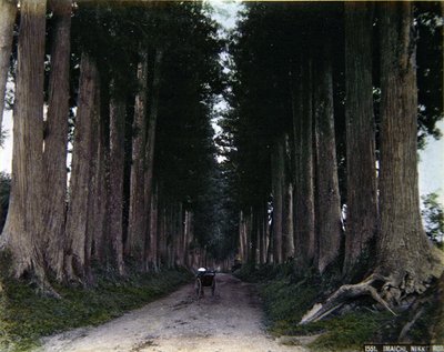 日光市林荫道上的人力车，约1900年（彩色照片）。 作者 摄影师 日本人