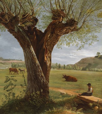 波拉德柳树，1804 年之后（纸面油画，裱在画布上） 作者 皮埃尔·简·博凯特