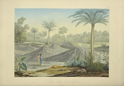 图尔瓦科的空气火山，由Bouquet雕刻，插图来自Alexander von Humboldt和Aime Bonpland的《Vues des Cordillères et Monumens des Peuples Indigènes de l