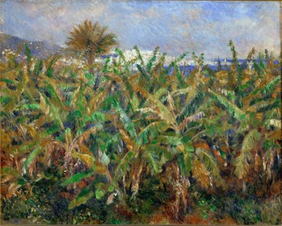 Champs de Bananiers - Banana-field（油画） 作者 