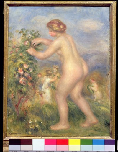 女性裸体采摘花 作者 Pierre Auguste Renoir