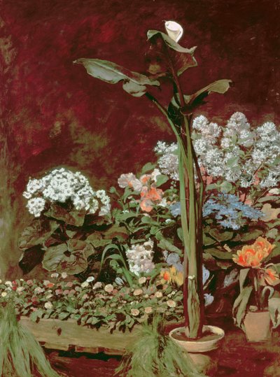 百合和温室植物 作者 