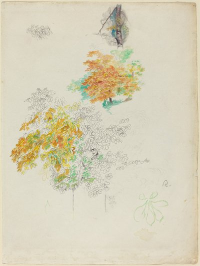 树的研究》，1886年。 作者 皮埃尔·奥古斯特·雷诺阿