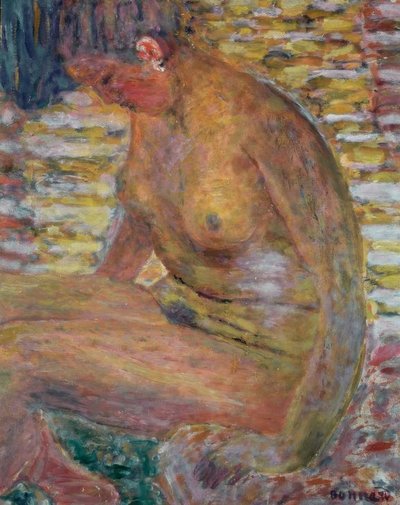 裸体 作者 Pierre Bonnard