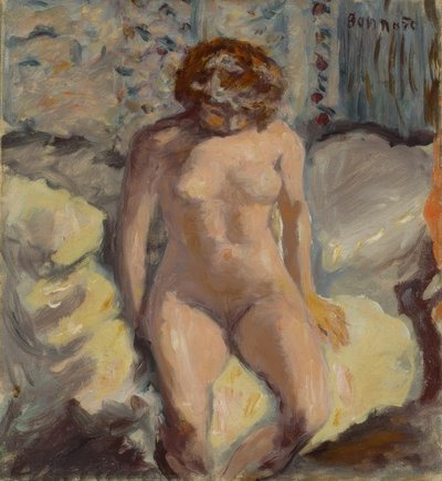 裸体 作者 Pierre Bonnard
