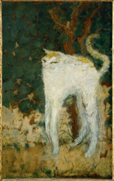 白猫 作者 Pierre Bonnard