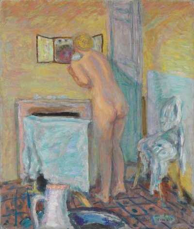 镜子或沐浴前的裸体；拜恩格斯之怒 作者 Pierre Bonnard