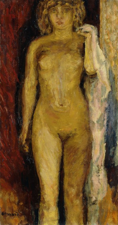 裸体，被一盏灯照亮 作者 Pierre Bonnard
