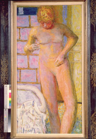 站在裸体，1928年 作者 Pierre Bonnard