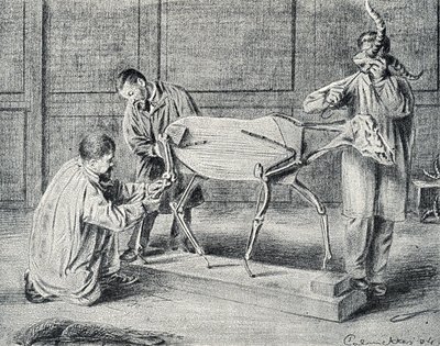 标本剥制：标本剥制师在车间里准备人造骨架 刻自皮埃尔-卡尔梅特的《游历各处博物馆》 珍贵藏品 作者 皮埃尔·卡尔梅特