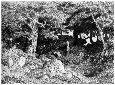 Les Chenes de Roche，c1832-1860年，1924年 作者 皮埃尔·艾蒂安·西奥多·卢梭