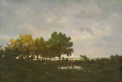 池塘拉马雷，1855年。 作者 Pierre Etienne Theodore Rousseau