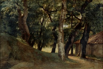 18世纪后期至19世纪末的博尔盖塞别墅（Villa Borghese）森林 作者 皮埃尔·亨利·德·瓦朗谢讷