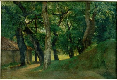 Foret de la Villa Borghese - 博尔盖塞别墅森林... 作者 皮埃尔·亨利·德·瓦朗谢讷