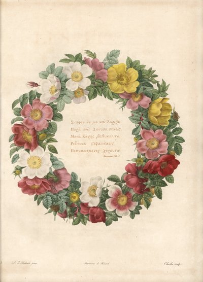 带有希腊格言的玫瑰之冠 - Charlin 的 Eau forte，根据 Pierre Joseph Redoute (1759-1840) 的插图，来自 Les Roses 作者 皮埃尔·约瑟夫·雷杜特