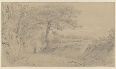 泽西岛上的风景 作者 皮埃尔·路易斯·杜布克