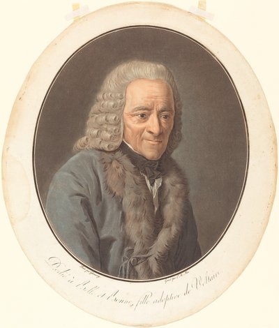 Voltaire 作者 皮埃尔·米歇尔·阿利克斯