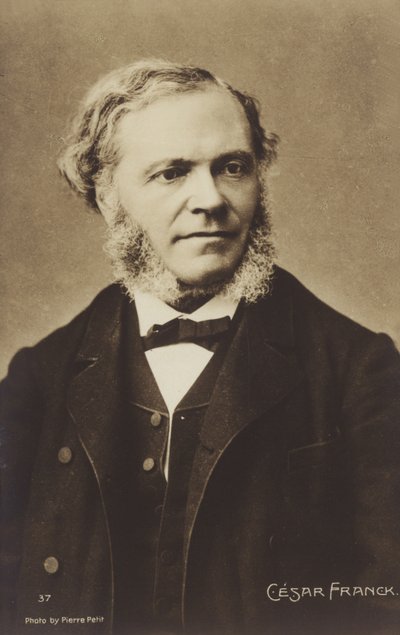 Cesar Franck，比利时出生的作曲家，钢琴家，风琴师和音乐老师，在成年后的巴黎工作（1822-1890） 作者 皮埃尔·佩蒂特