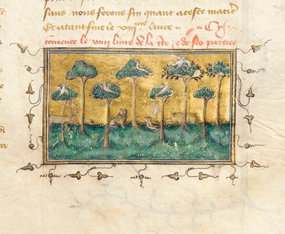 Bartholomeus Anglicus的“ De Proprietatibus Rerum”中的一页的详细内容，由Jean Corbechon译成法语，约1390年 作者 皮埃尔·雷米耶