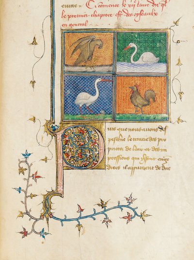从让Corbechon的法语翻译“物性”，由缪英国人页，c.1390 作者 皮埃尔·雷米耶