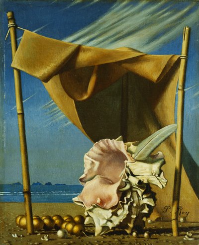 贝壳与布帘；Coquillage et Drape，约 1930 年（布面油画） 作者 皮埃尔·罗伊
