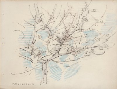 开花的树，c.1917-18（纸上铅笔和蜡笔） 作者 彼得·蒙德里安