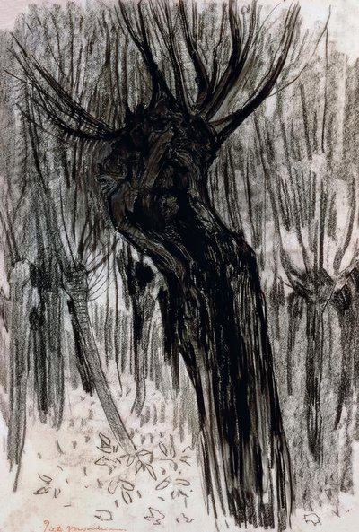 柳树，1902-1904年， 作者 彼得·蒙德里安
