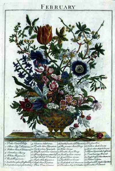 二月，出自罗伯特-弗伯（约1674-1756）的《展示的花圃》，由詹姆斯-史密斯雕刻，出版。1732年（彩色版画） 作者 彼得（后）城堡
